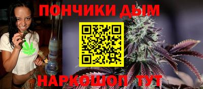 кокс Можга