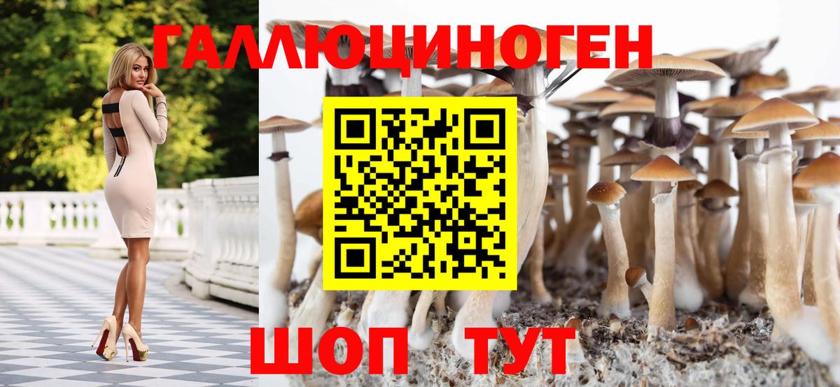Чапаевск  Псилоцибиновые грибы Psilocybine cubensis  Галлюциногенные грибы мицелий  даркнет сайт  Вход с VPN 
